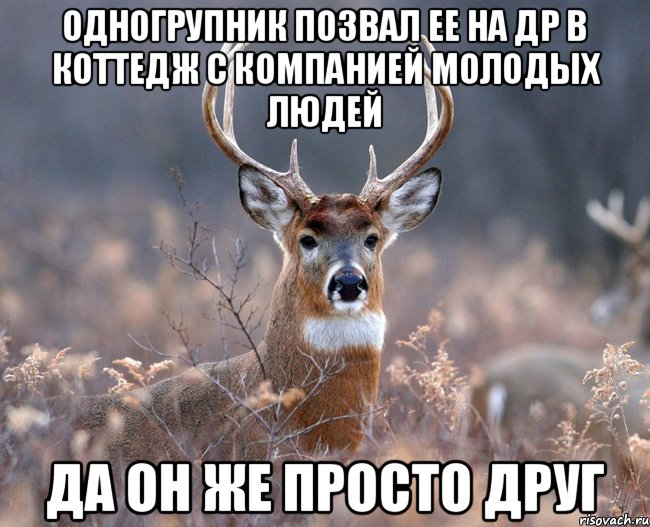 одногрупник позвал ее на др в коттедж с компанией молодых людей да он же просто друг, Мем   Наивный олень