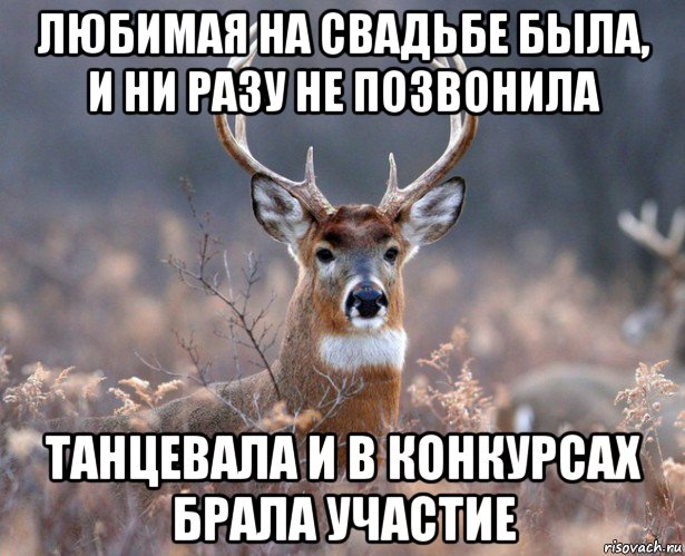 любимая на свадьбе была, и ни разу не позвонила танцевала и в конкурсах брала участие