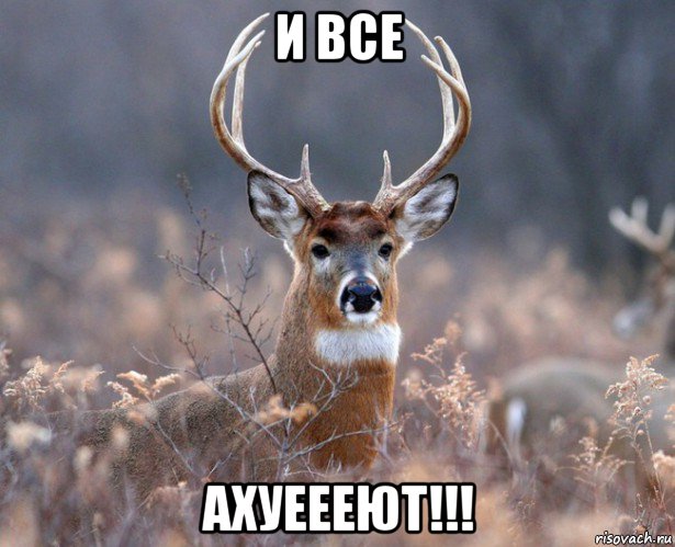 и все ахуеееют!!!, Мем   Наивный олень