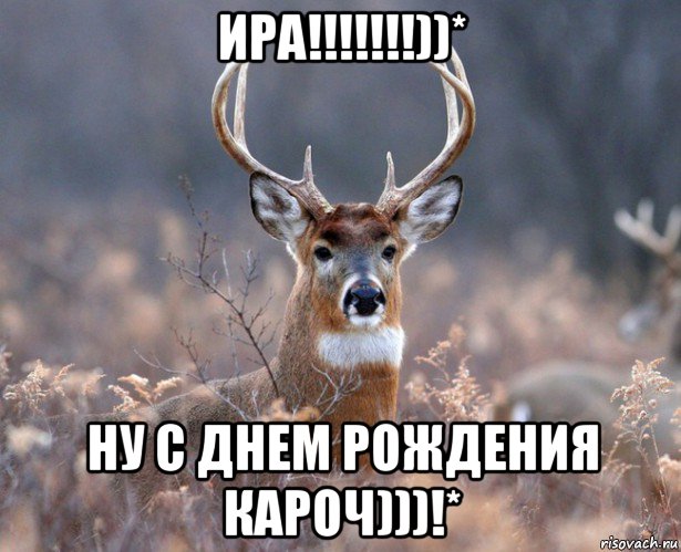 ира!!!!!!!))* ну с днем рождения кароч)))!*, Мем   Наивный олень