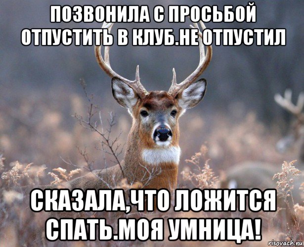 позвонила с просьбой отпустить в клуб.не отпустил сказала,что ложится спать.моя умница!, Мем   Наивный олень