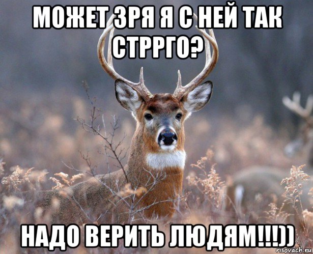 может зря я с ней так стррго? надо верить людям!!!)), Мем   Наивный олень