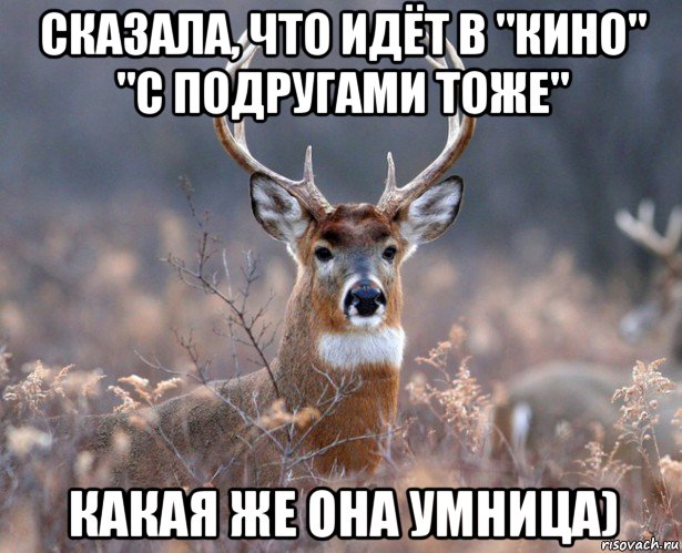 сказала, что идёт в "кино" "с подругами тоже" какая же она умница), Мем   Наивный олень