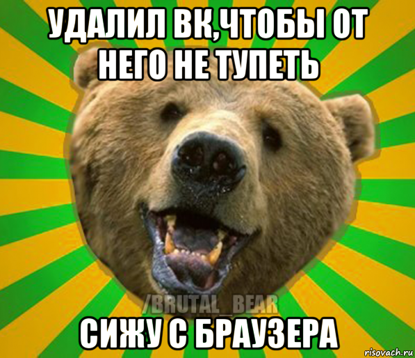 удалил вк,чтобы от него не тупеть сижу с браузера, Мем Нелепый медведь