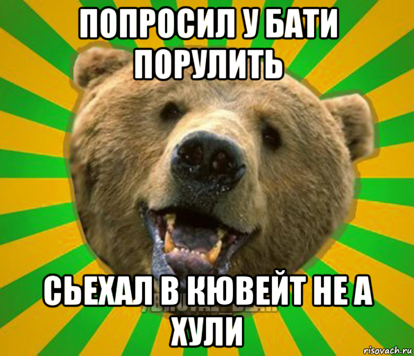 попросил у бати порулить сьехал в кювейт не а хули, Мем Нелепый медведь