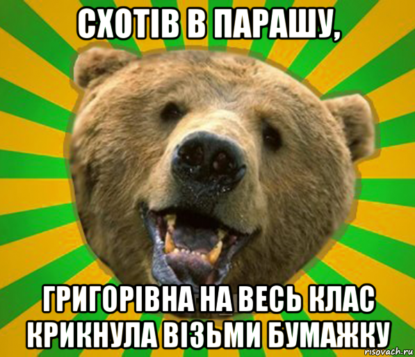 схотів в парашу, григорівна на весь клас крикнула візьми бумажку, Мем Нелепый медведь