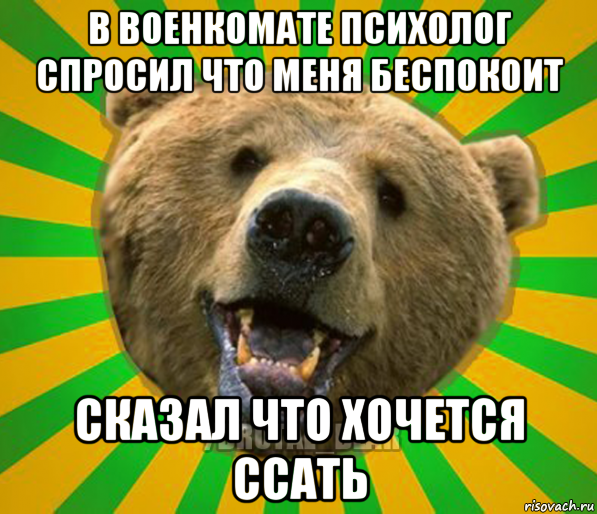 в военкомате психолог спросил что меня беспокоит сказал что хочется ссать, Мем Нелепый медведь