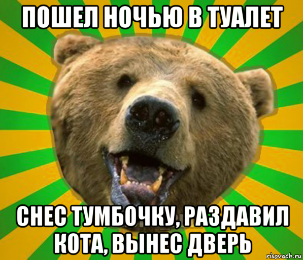 пошел ночью в туалет снес тумбочку, раздавил кота, вынес дверь, Мем Нелепый медведь