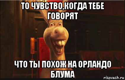 то чувство,когда тебе говорят что ты похож на орландо блума, Мем Осел из Шрека