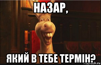 назар, який в тебе термін?