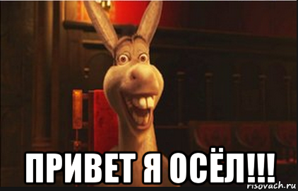  привет я осёл!!!, Мем Осел из Шрека