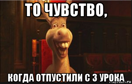 то чувство, когда отпустили с 3 урока, Мем Осел из Шрека