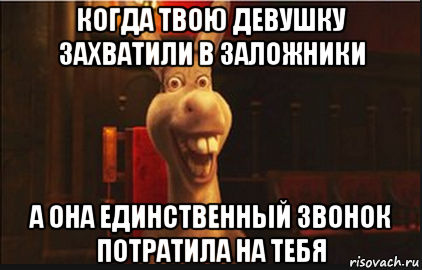 когда твою девушку захватили в заложники а она единственный звонок потратила на тебя, Мем Осел из Шрека