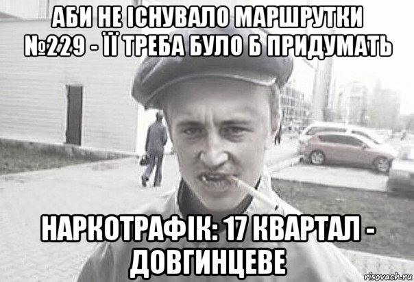 аби не існувало маршрутки №229 - її треба було б придумать наркотрафік: 17 квартал - довгинцеве