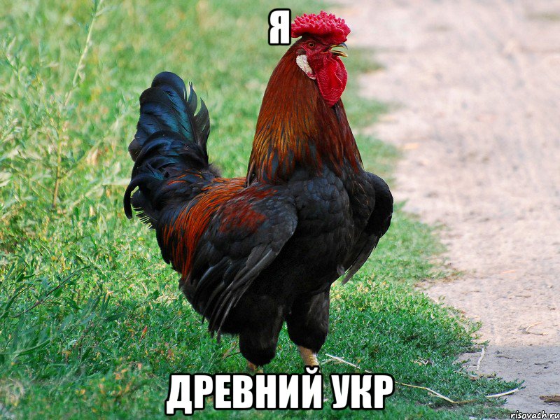 я древний укр