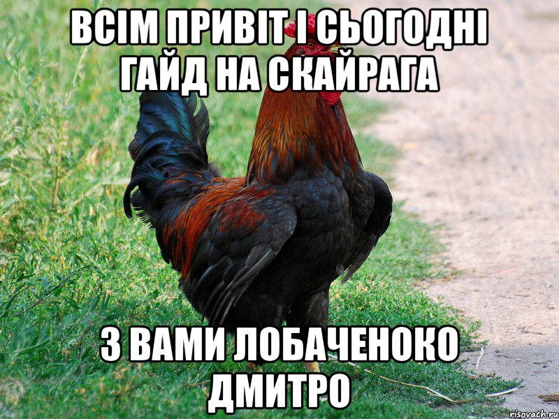 Всім привіт і сьогодні гайд на скайрага з вами Лобаченоко Дмитро, Мем петух