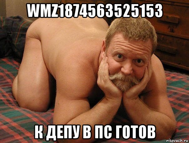 wmz1874563525153 к депу в пс готов, Мем прив че делаешь