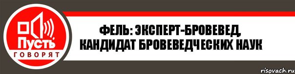 Фель: эксперт-бровевед, кандидат бровеведческих наук, Комикс   пусть говорят