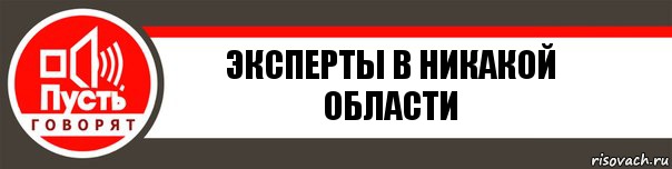 Эксперты в никакой области, Комикс   пусть говорят