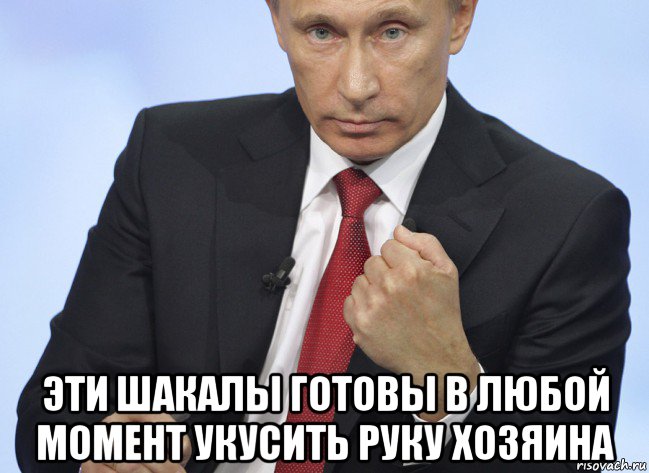  эти шакалы готовы в любой момент укусить руку хозяина, Мем Путин показывает кулак