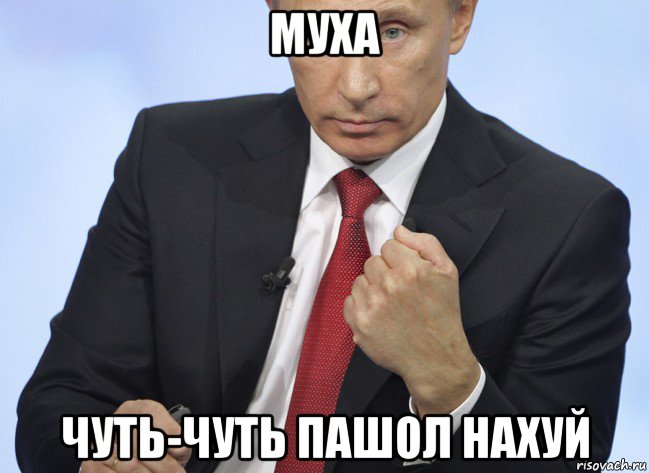 муха чуть-чуть пашол нахуй, Мем Путин показывает кулак