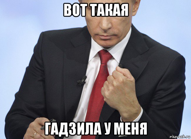 вот такая гадзила у меня, Мем Путин показывает кулак