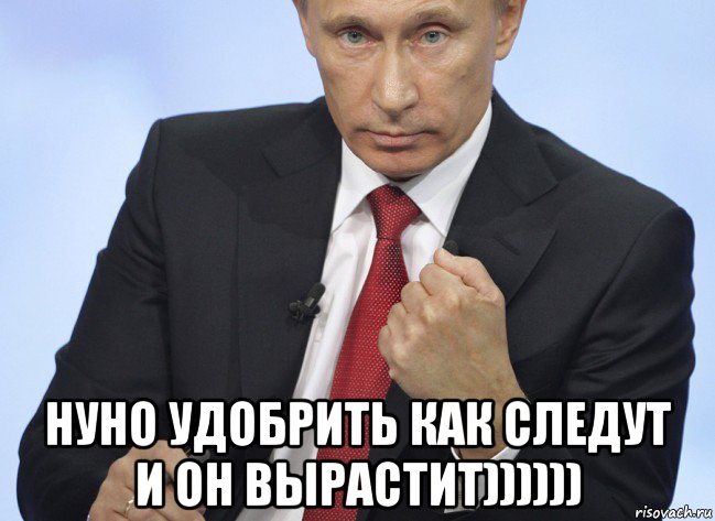  нуно удобрить как следут и он вырастит)))))), Мем Путин показывает кулак