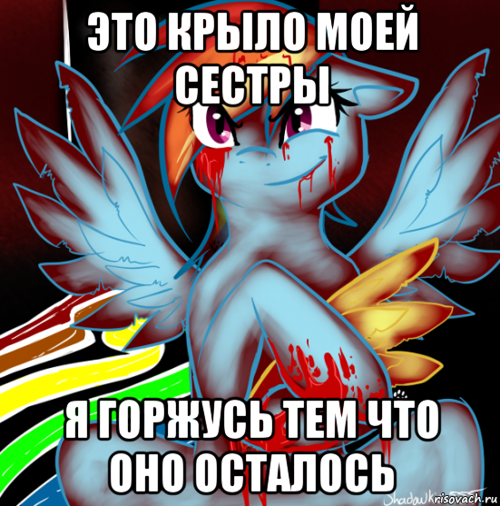 это крыло моей сестры я горжусь тем что оно осталось, Мем RAINBOW FACTORY DASH