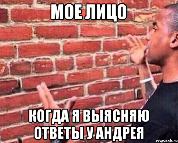 мое лицо когда я выясняю ответы у Андрея, Мем разговор со стеной