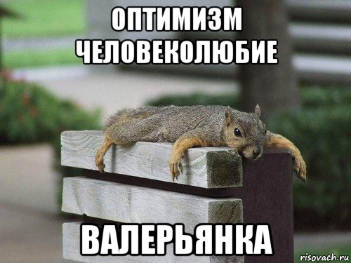 Оптимизм Мем