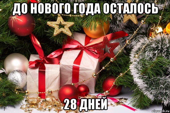 До 28 декабря осталось