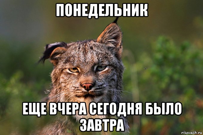 То чувство когда завтра уже сегодня а ты еще вчера картинка