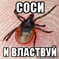 Клещ мем. Клещщ Мем. Только ты и я и я клещ.