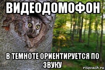 Вы кто такие. Я вам не Сова Мем. Сова идите нахуй я вас не звал. Звук Совы Мем. Сова подожгла лес Мем.