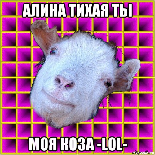 алина тихая ты моя коза -lol-, Мем типичная коза