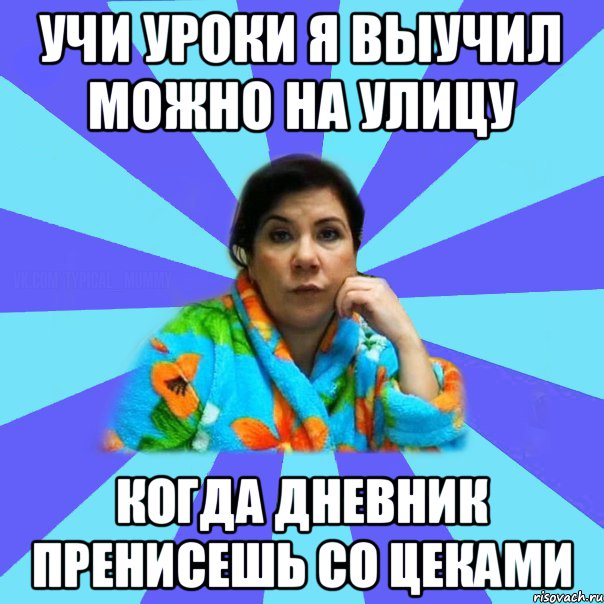 учи уроки я выучил можно на улицу когда дневник пренисешь со цеками, Мем типичная мама