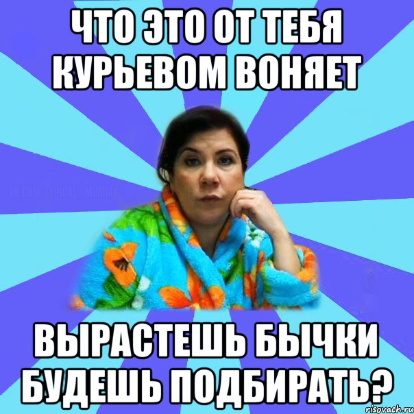 Что это от тебя курьевом воняет Вырастешь бычки будешь подбирать?, Мем типичная мама