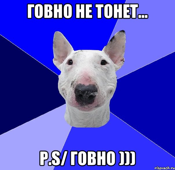 ГОВНО НЕ ТОНЕТ... P.S/ говно ))), Мем типичный буль