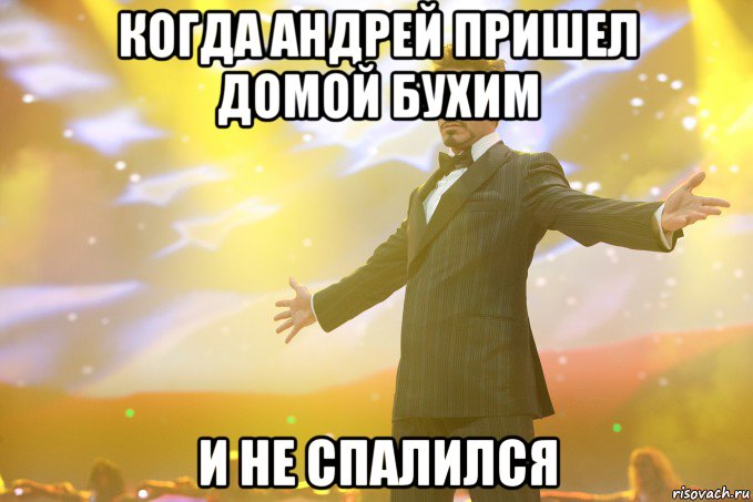 когда андрей пришел домой бухим и не спалился, Мем Тони Старк (Роберт Дауни младший)