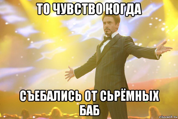 то чувство когда съебались от сьрёмных баб, Мем Тони Старк (Роберт Дауни младший)