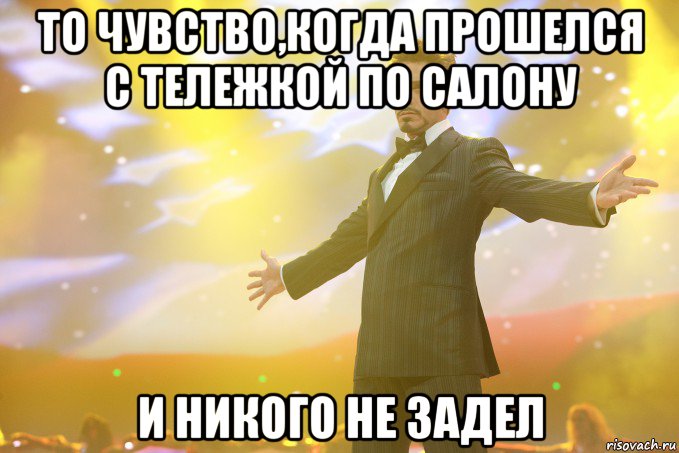 то чувство,когда прошелся с тележкой по салону и никого не задел, Мем Тони Старк (Роберт Дауни младший)