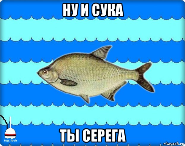 ну и сука ты серега, Мем Тупичный лещ