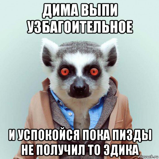 дима выпи узбагоительное и успокойся пока пизды не получил то эдика, Мем укуренный лемур