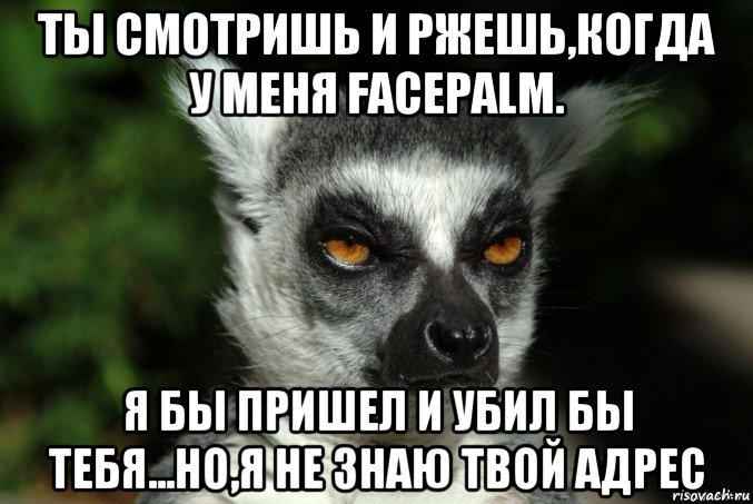 ты смотришь и ржешь,когда у меня facepalm. я бы пришел и убил бы тебя...но,я не знаю твой адрес, Мем   Я збагоен