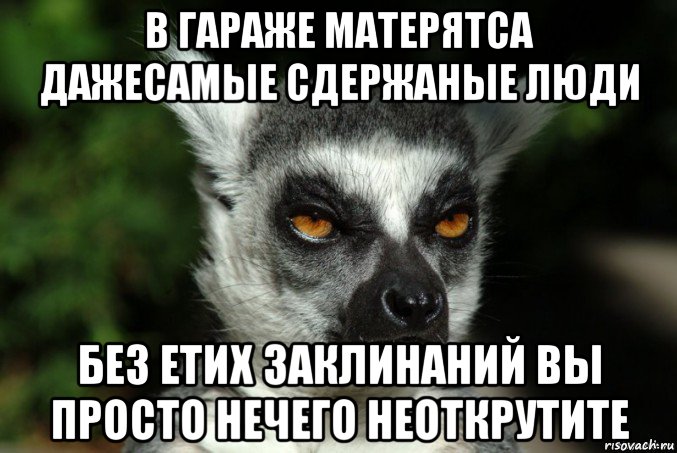 в гараже матерятса дажесамые сдержаные люди без етих заклинаний вы просто нечего неоткрутите, Мем   Я збагоен