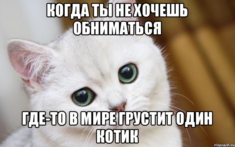 Когда ты не хочешь обниматься Где-то в мире грустит один котик, Мем  В мире грустит один котик