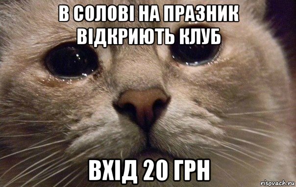 в солові на празник відкриють клуб вхід 20 грн, Мем   В мире грустит один котик