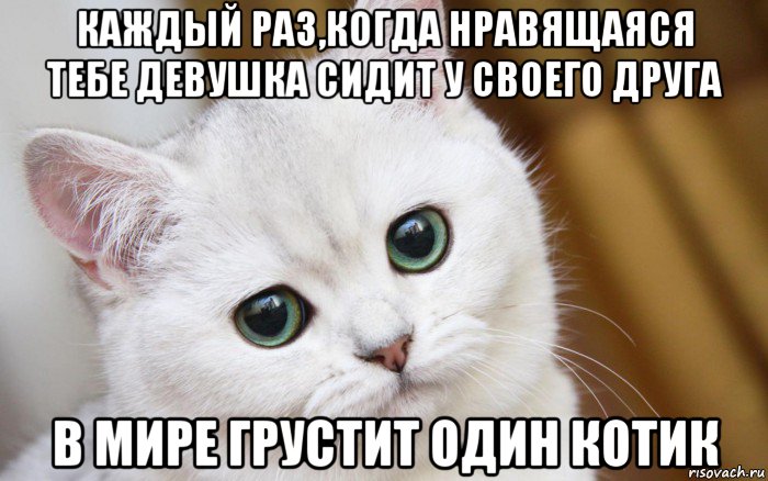 каждый раз,когда нравящаяся тебе девушка сидит у своего друга в мире грустит один котик, Мем  В мире грустит один котик