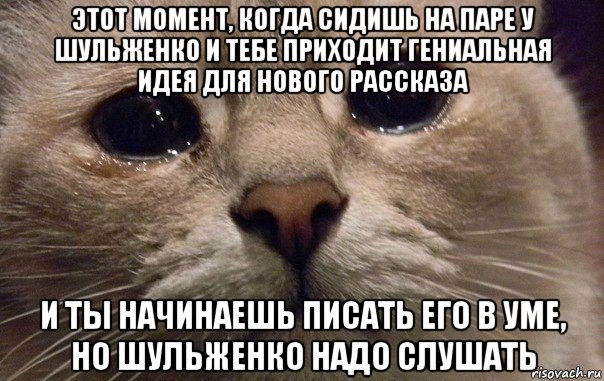 этот момент, когда сидишь на паре у шульженко и тебе приходит гениальная идея для нового рассказа и ты начинаешь писать его в уме, но шульженко надо слушать, Мем   В мире грустит один котик