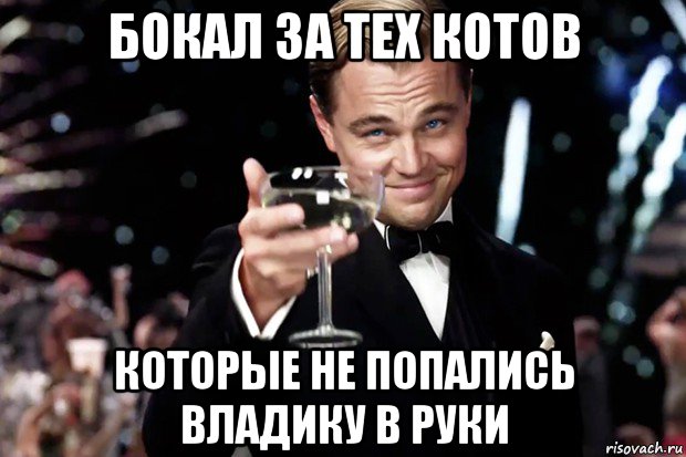 бокал за тех котов которые не попались владику в руки, Мем Великий Гэтсби (бокал за тех)